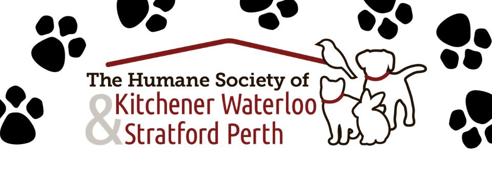 Stratford Perth Closes Animal Centres