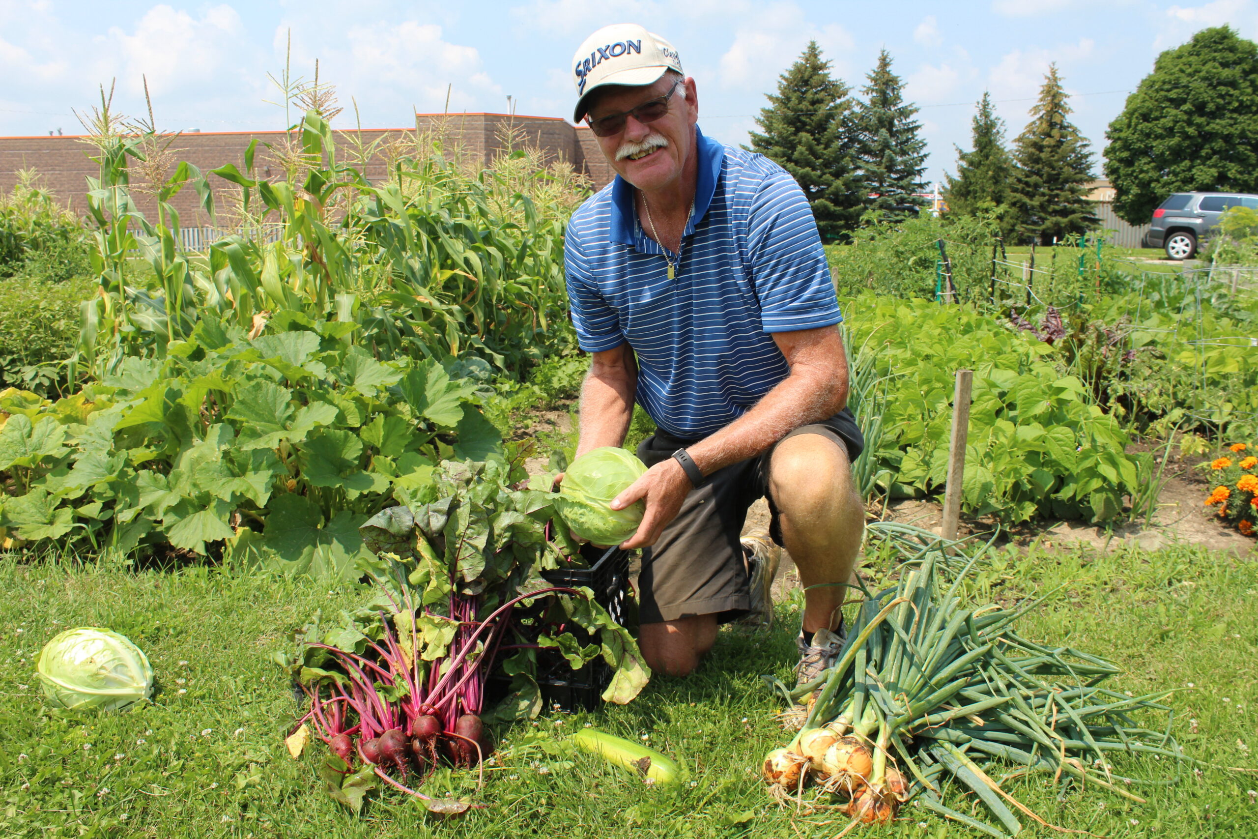 listowel-community-garden-provides-produce-for-salvation-army-food-bank