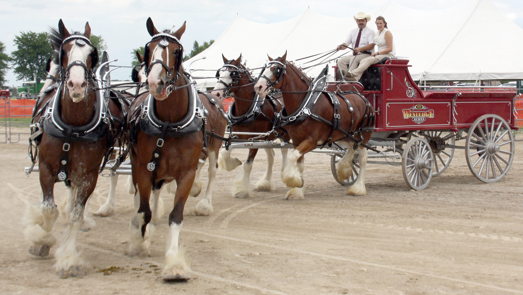 Plans taking shape for traditional Listowel Fair