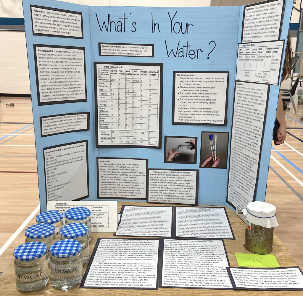 LDSS holds Grade 10 science fair