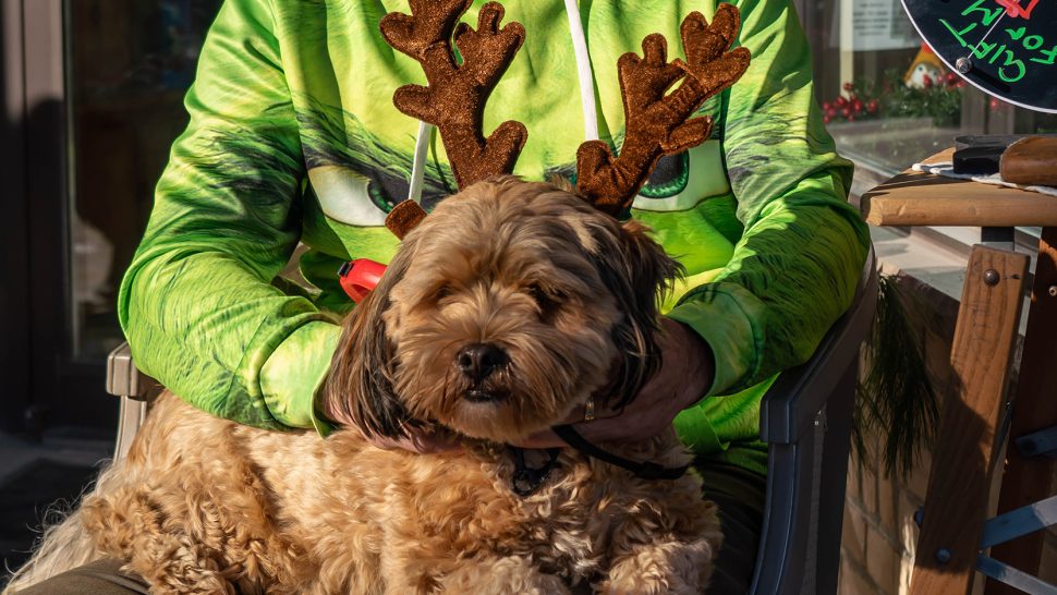 Mark (a.k.a The Grinch) and Ringo (a.k.a. Max) held a spin the wheel for a Christmas treat game. (Cory Bilyea photo)